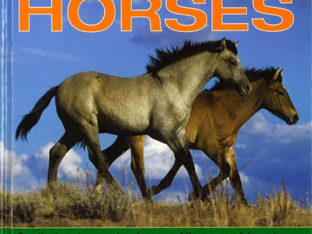 Exploring Nature: Wild Horses For Discount